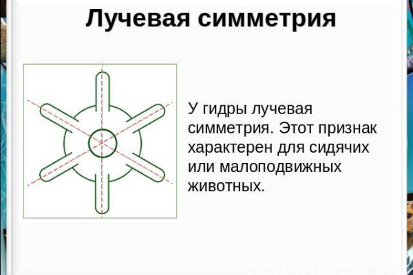 Кракен вход официальный сайт