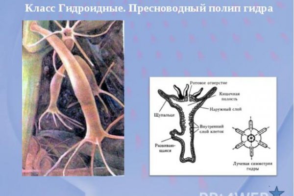 Магазин кракен в москве наркотики