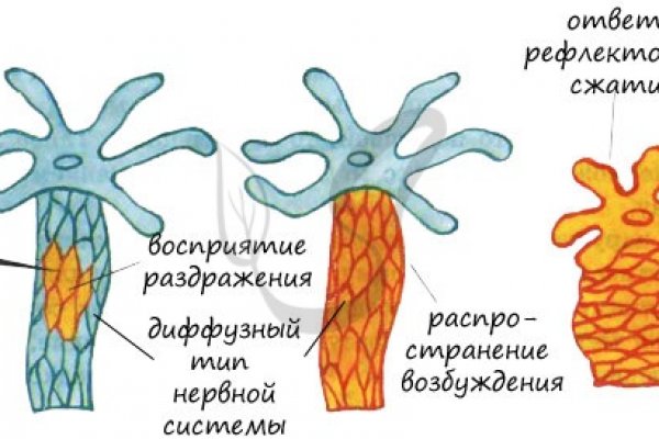 Современный маркетплейс kraken door