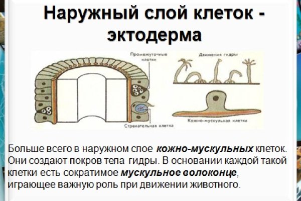 Как зарегистрироваться на кракене